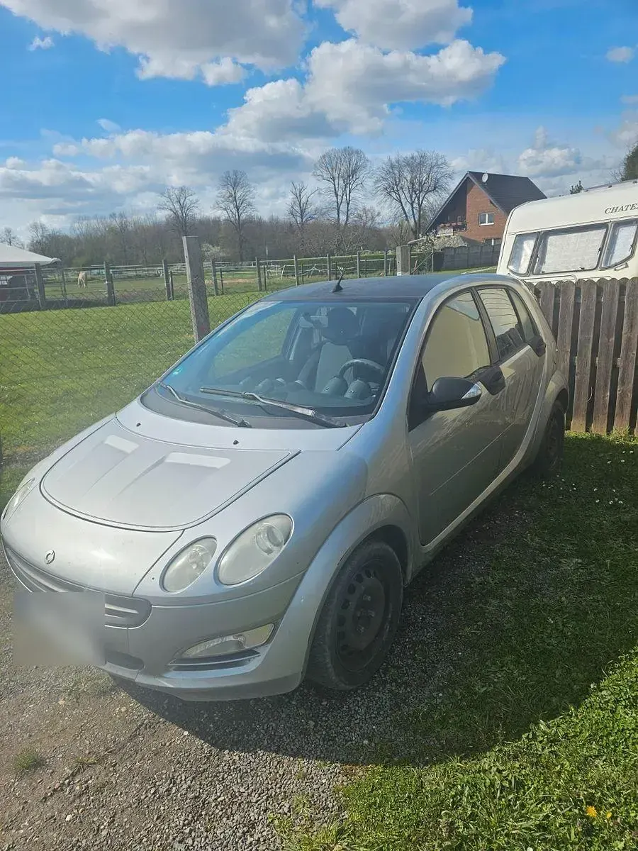 Occasion Smart ForFour Pure 95 ch (69 kW) 2006 Argent Citadine