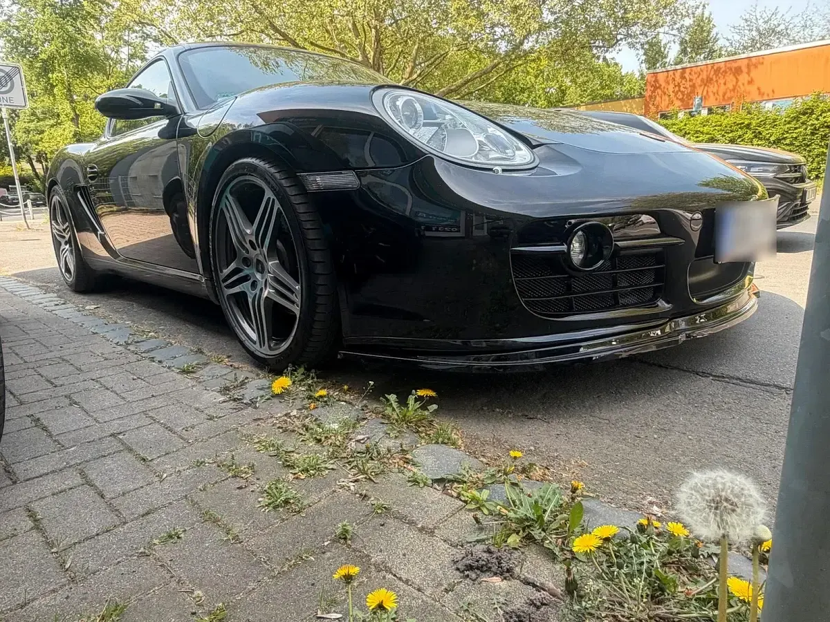 Gebraucht Porsche Cayman 299 PS (219 kW) 2009 Schwarz Coupé