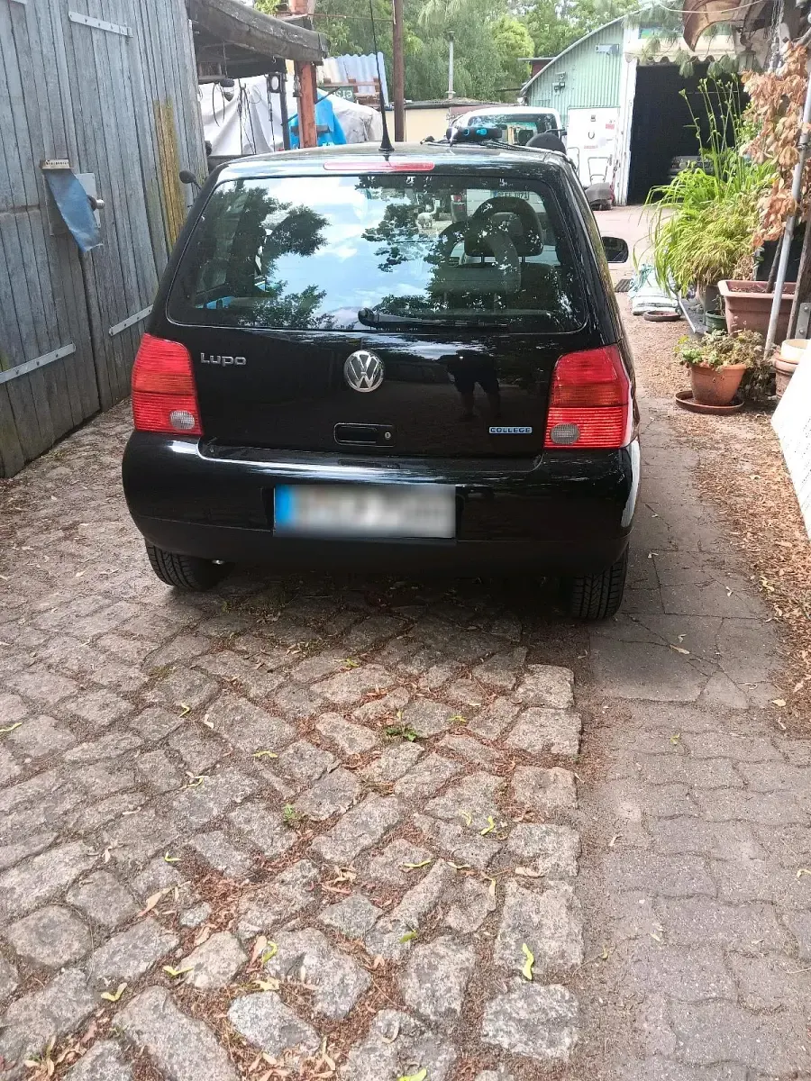 Gebraucht VW Lupo 50 PS (36 kW) 2001 Schwarz Kleinwagen