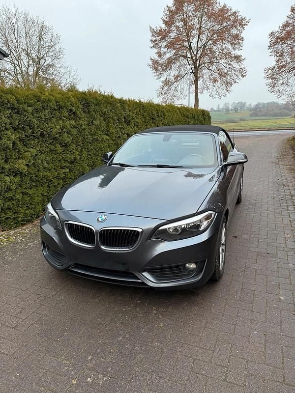 Gebraucht BMW 220 194 PS (142 kW) 2015 Grau Cabrio