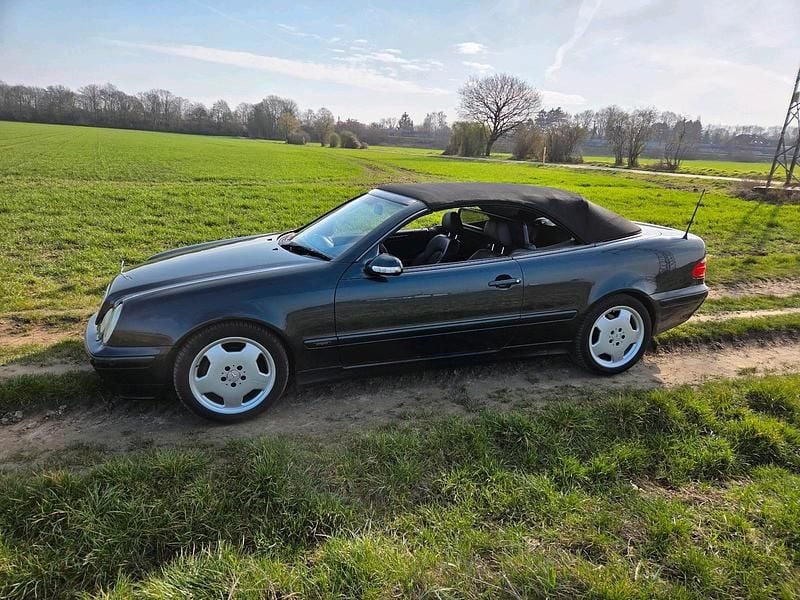 Gebraucht Mercedes CLK230 195 PS (143 kW) 2001 Schwarz Cabrio
