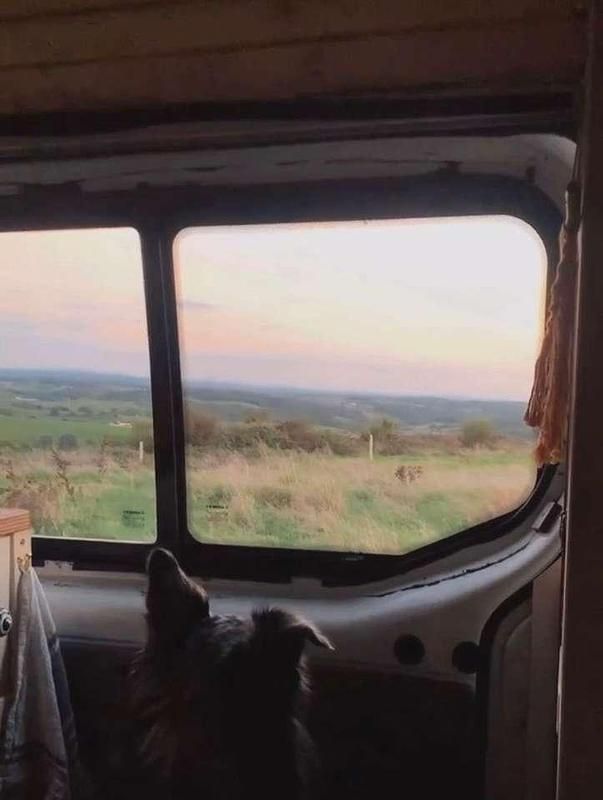 Second-hand Renault Trafic 120 CP (88 kW) 2012 Alb Monovolum