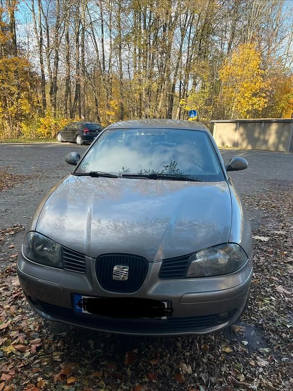 Grau Gebraucht 2005 Seat Ibiza Kleinwagen | 2.000 € (Etwas zu teuer) - Bild 1/4