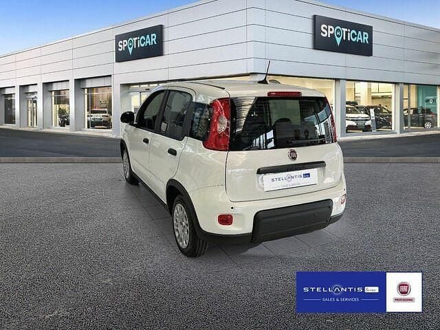 Neu Fiat Panda Cross Cross 69 PS (50 kW) 2025 Weiß Kleinwagen