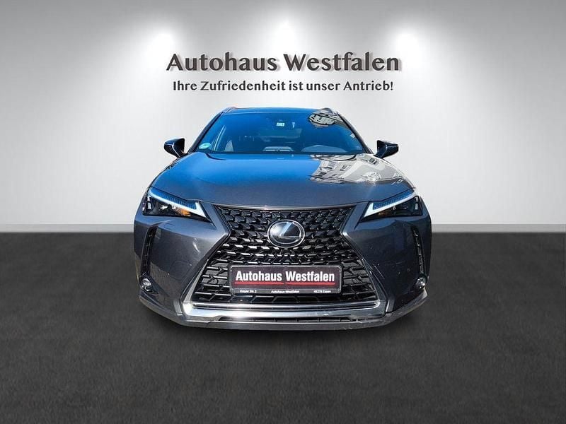 Gebraucht Lexus UX 250h 152 PS (111 kW) 2023 Grün SUV