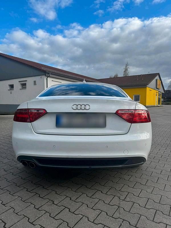 Usata Audi A5 170 CV (125 kW) 2009 Bianco Coupé
