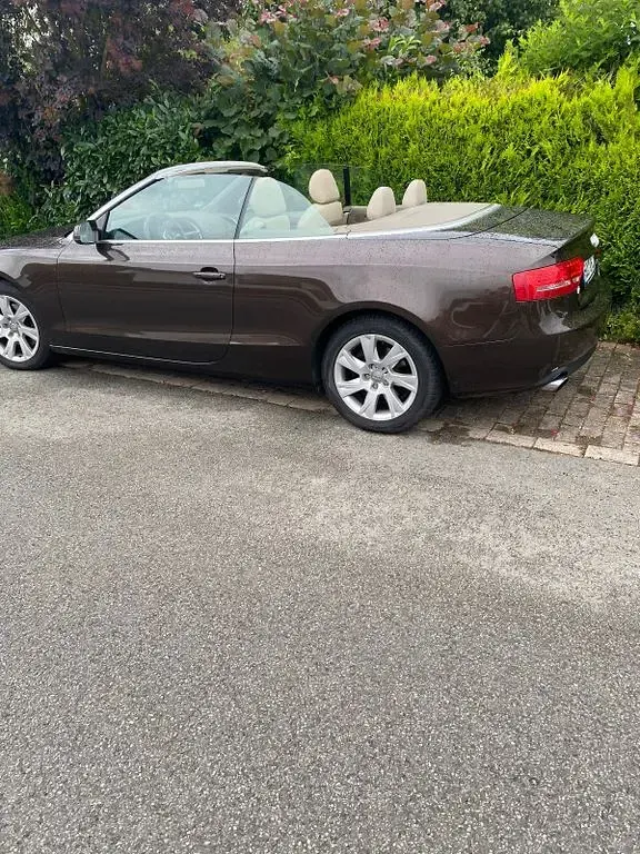 Gebraucht Audi Cabriolet 179 PS (131 kW) 2011 Braun Cabrio