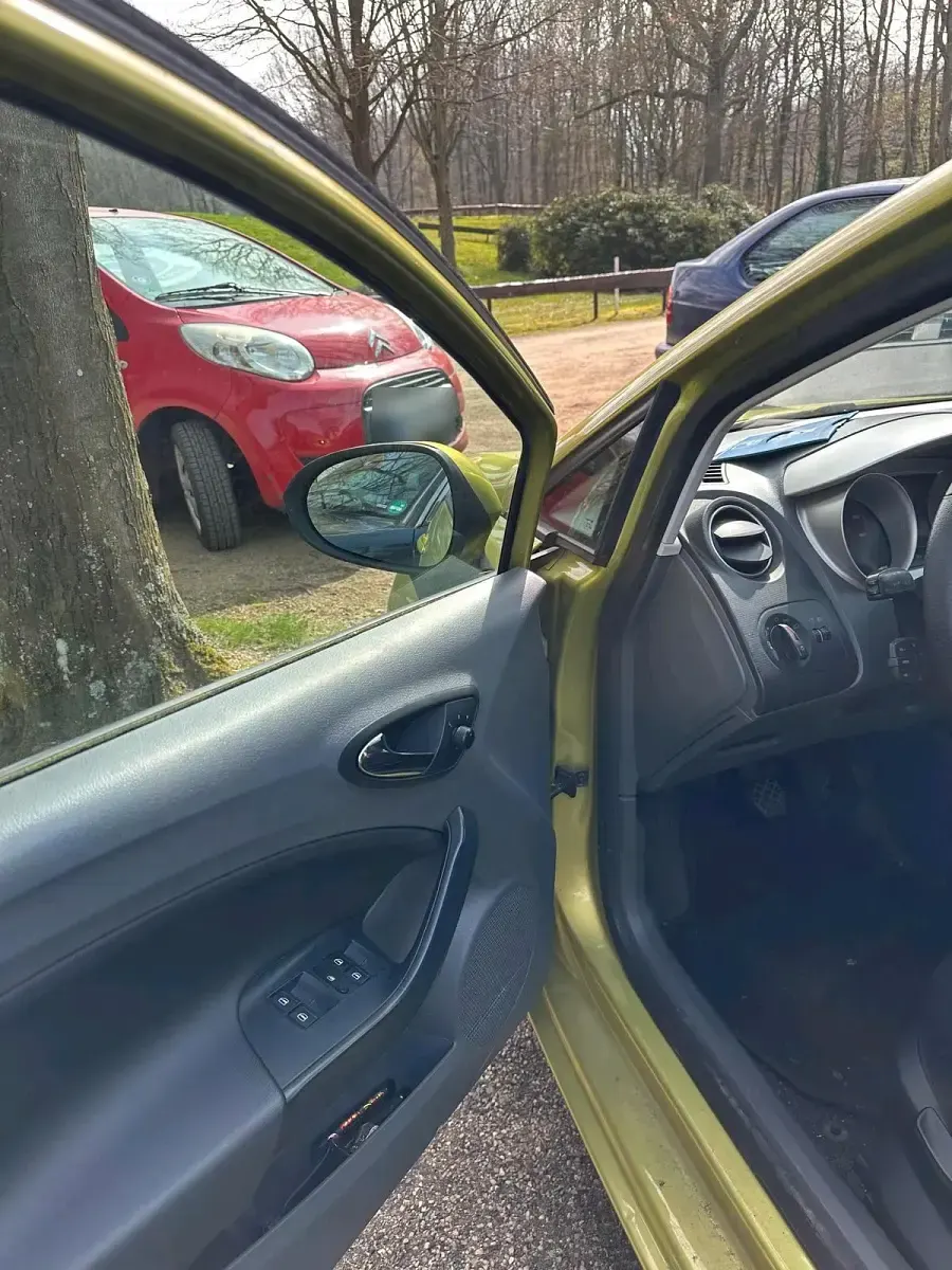 Gebraucht Seat Ibiza 86 PS (63 kW) 2012 Grün Kleinwagen
