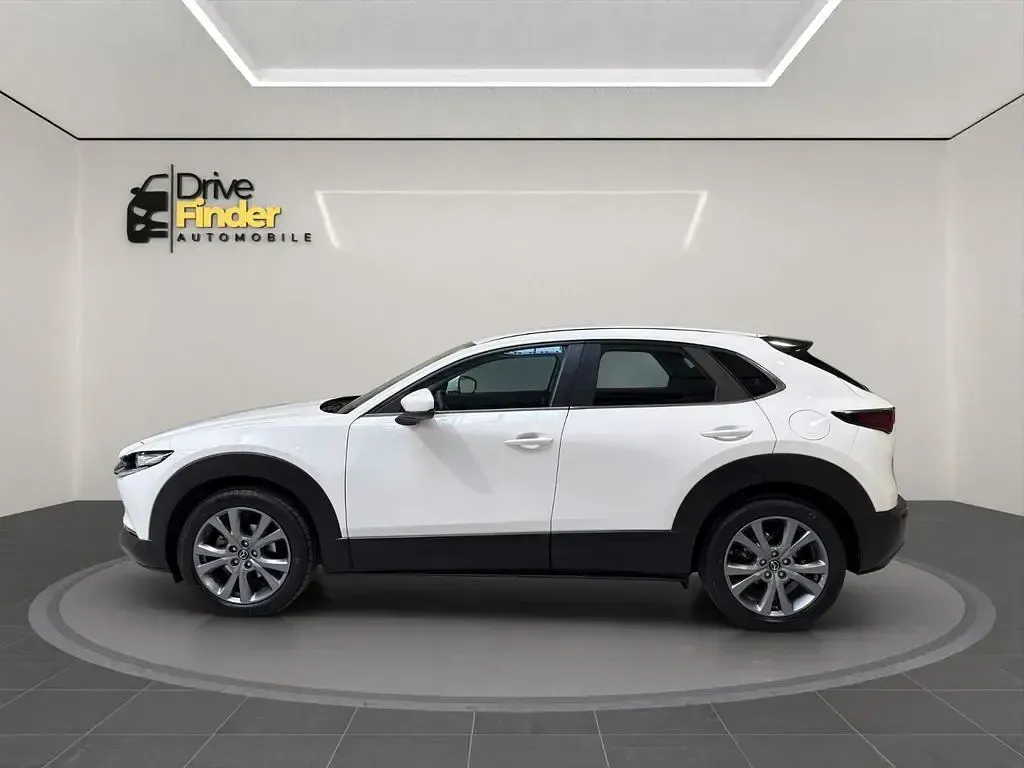 Gebraucht Mazda CX-30 Exclusive-Line 150 PS (110 kW) 2024 Arctic white cle SUV