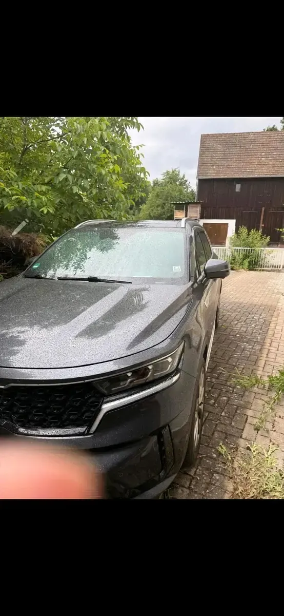 Gebraucht Kia Sorento Platinum 201 PS (147 kW) 2020 Grau SUV