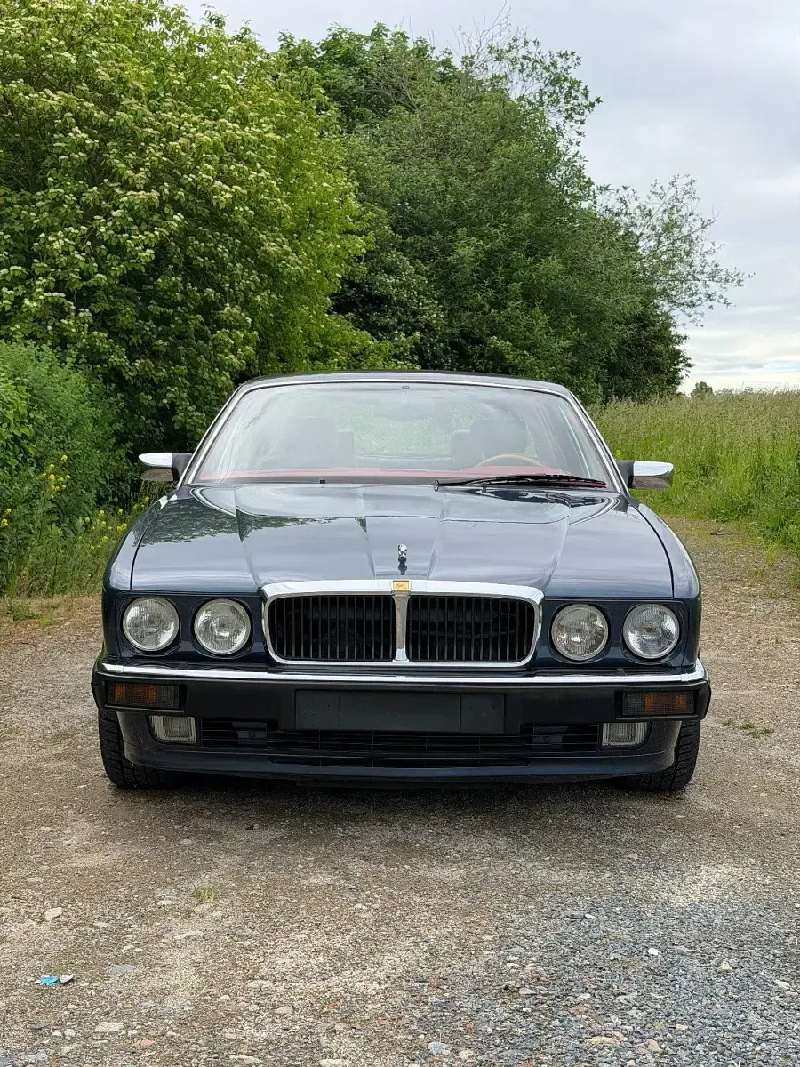 Gebraucht Jaguar XJ 311 PS (228 kW) 1993 Blau Limousine