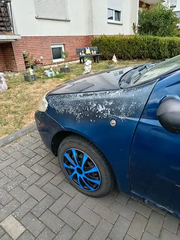 Gebraucht Fiat Punto 60 PS (44 kW) 2005 Blau Kleinwagen