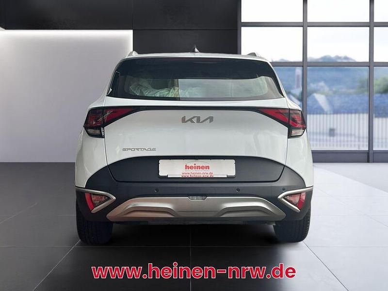 Gebraucht Kia Sportage Vision 150 PS (110 kW) 2023 Weiß SUV