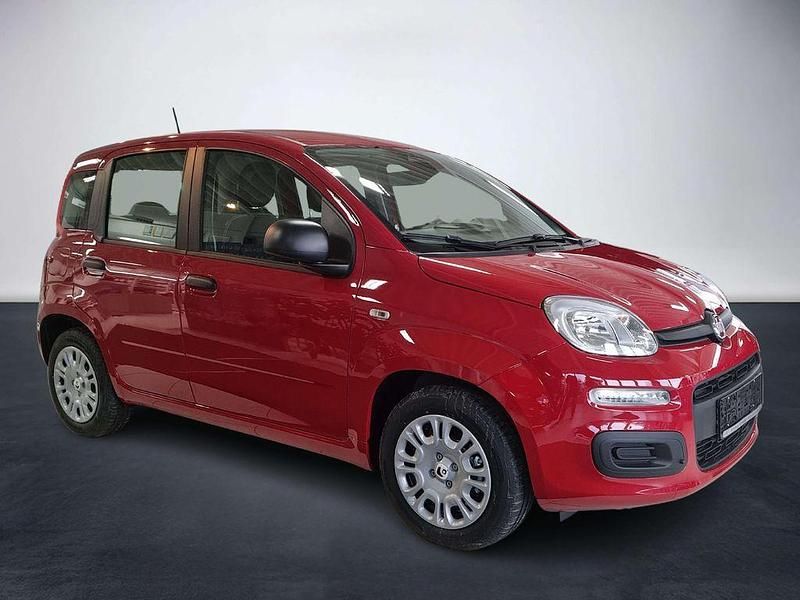 Neu Fiat Panda 69 PS (50 kW) 2025 Passione rot Kleinwagen