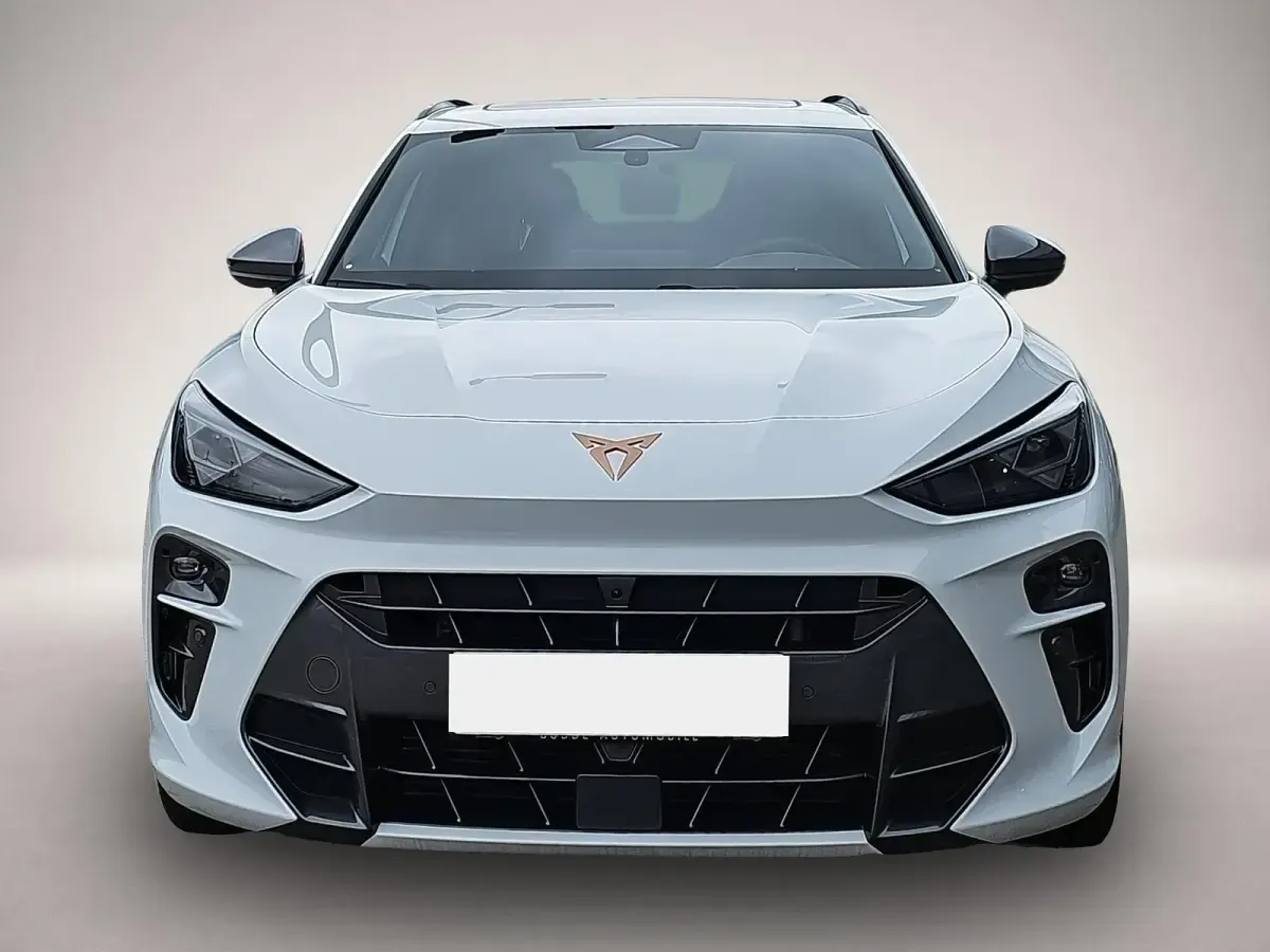 Neu Cupra Terramar VZ 265 PS (194 kW) 2026 Manufacturer SUV