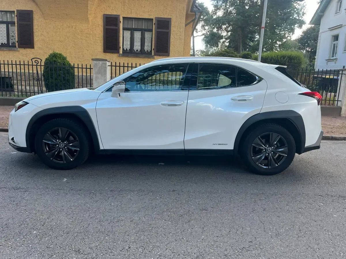 Gebraucht Lexus UX 250h Launch Edition 184 PS (135 kW) 2020 Weiß SUV
