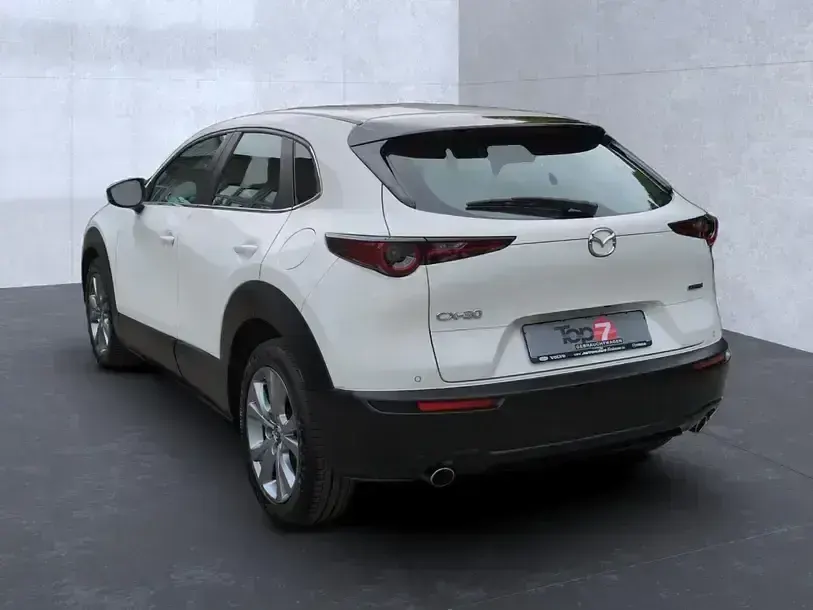 Gebraucht Mazda CX-30 Selection 122 PS (89 kW) 2023 Weiß SUV