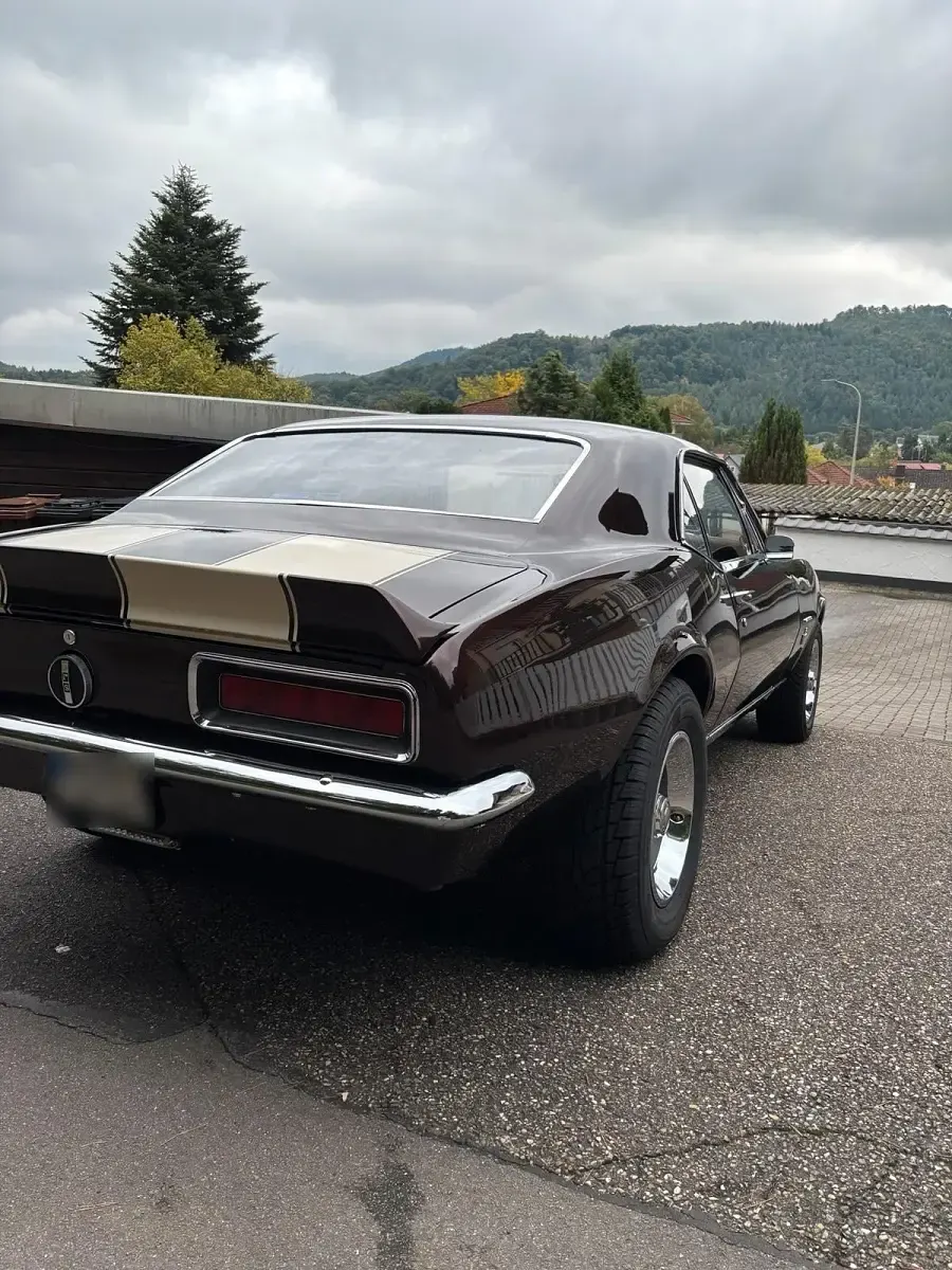 Gebraucht Chevrolet Camaro 280 PS (205 kW) 1967 Coupé