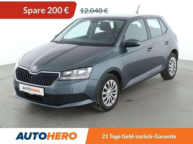 Gray Gebraucht 2019 Skoda Fabia Ambition Kleinwagen | 11.840 € (Fairer Preis) - Bild 1/3
