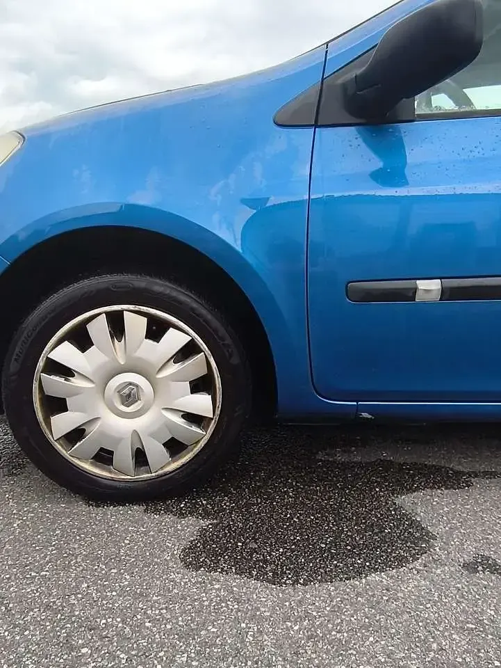 Gebraucht Renault Clio Dynamique 75 PS (55 kW) 2005 Kleinwagen