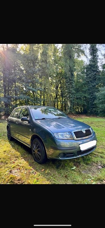 Grau Gebraucht 2006 Skoda Fabia Kleinwagen | 1.999 € (Fairer Preis) - Bild 1/4
