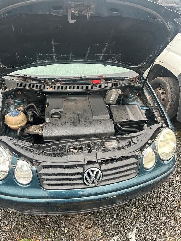 Gebraucht VW Polo 75 PS (55 kW) 2005 Grün Kleinwagen