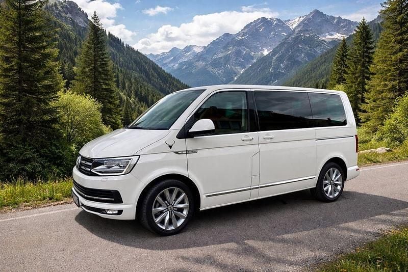 Second-hand VW T6 150 CP (110 kW) 2017 Alb Van