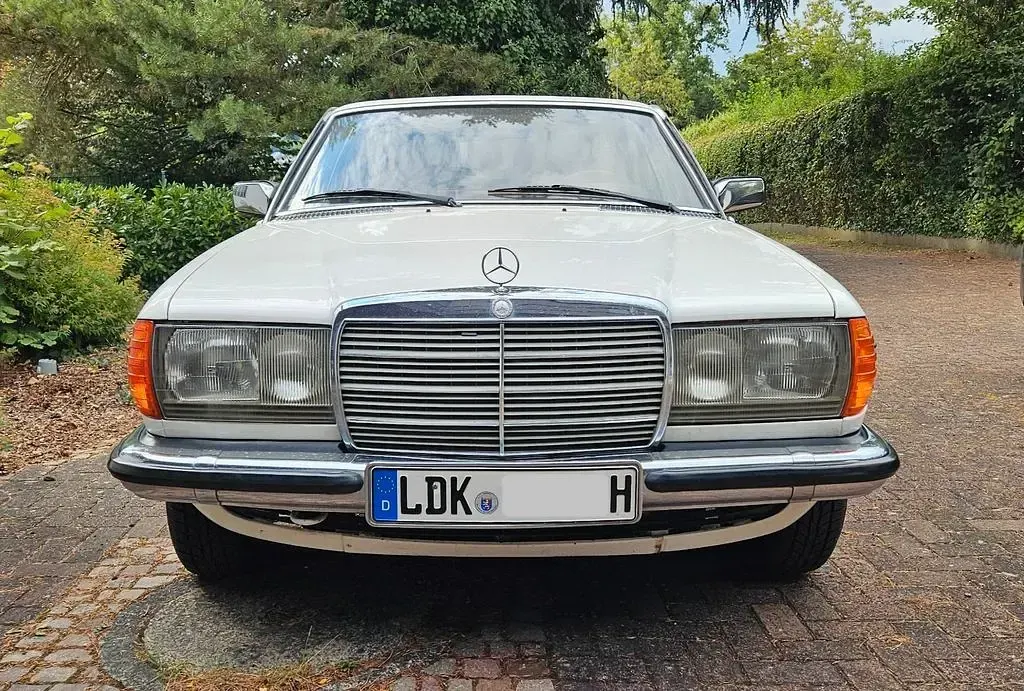 Gebraucht Mercedes 280 177 PS (130 kW) 1977 Weiß