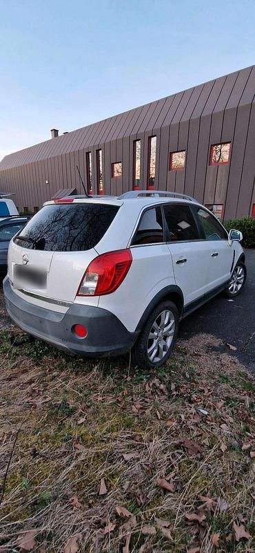 Gebraucht Opel Antara 184 PS (135 kW) 2015 Weiß SUV