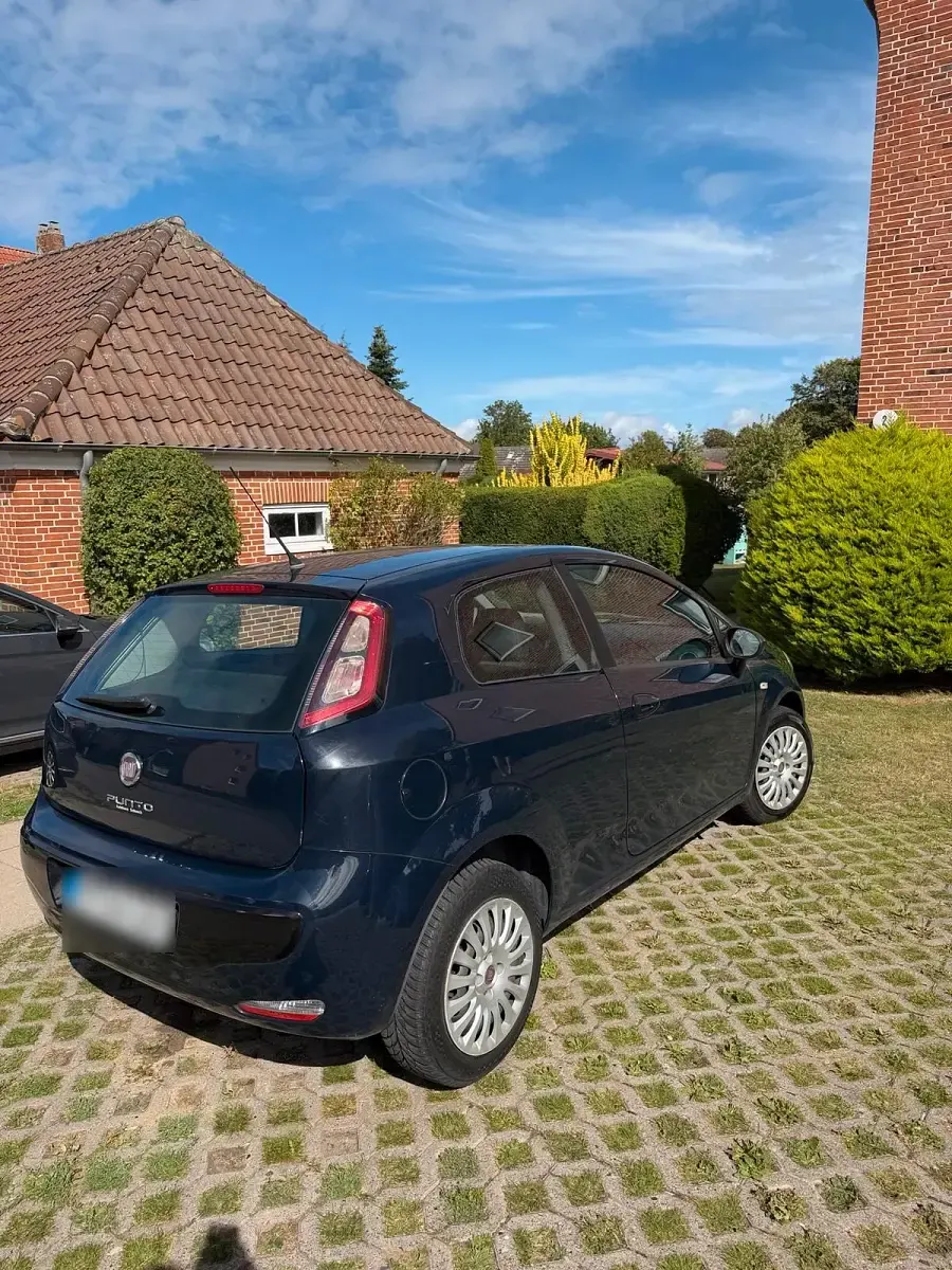 Gebraucht Fiat Punto 69 PS (50 kW) 2010 Blau Kleinwagen