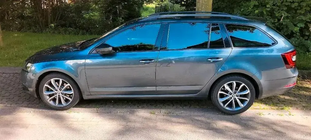 Gebraucht Skoda Octavia 150 PS (110 kW) 2019 Grau Kombi