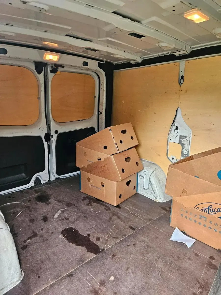 Gebraucht Renault Trafic 95 PS (69 kW) 2019 Weiß Van / Kleinbus