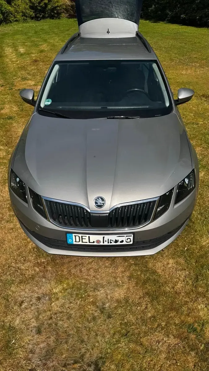 Gebraucht Skoda Octavia Clever 150 PS (110 kW) 2017 Beige Kombi