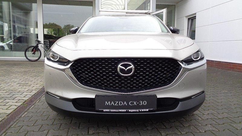 Gebraucht Mazda CX-30 186 PS (136 kW) 2024 SUV