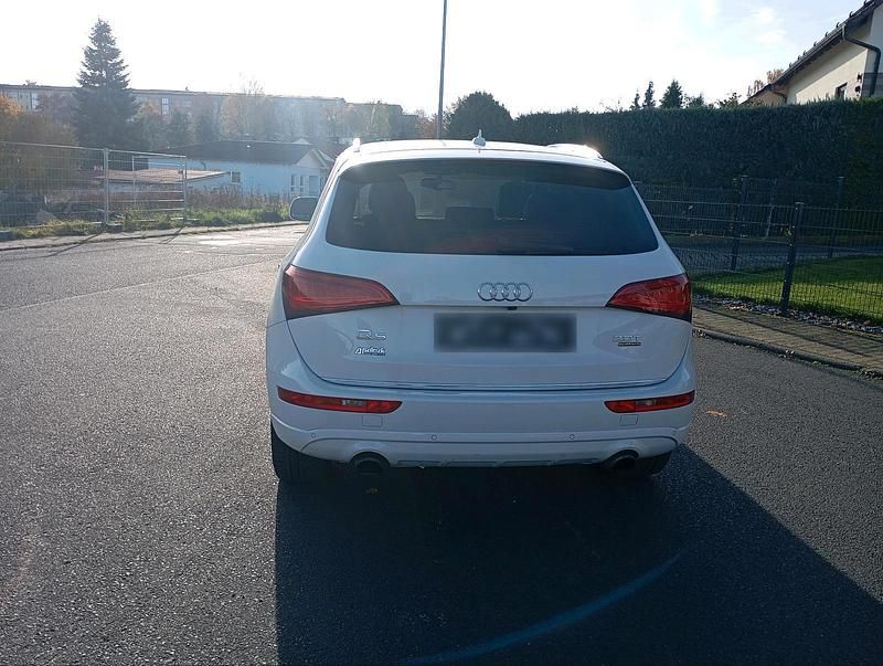 Usata Audi Q5 Premium Plus 2017 Bianco SUV