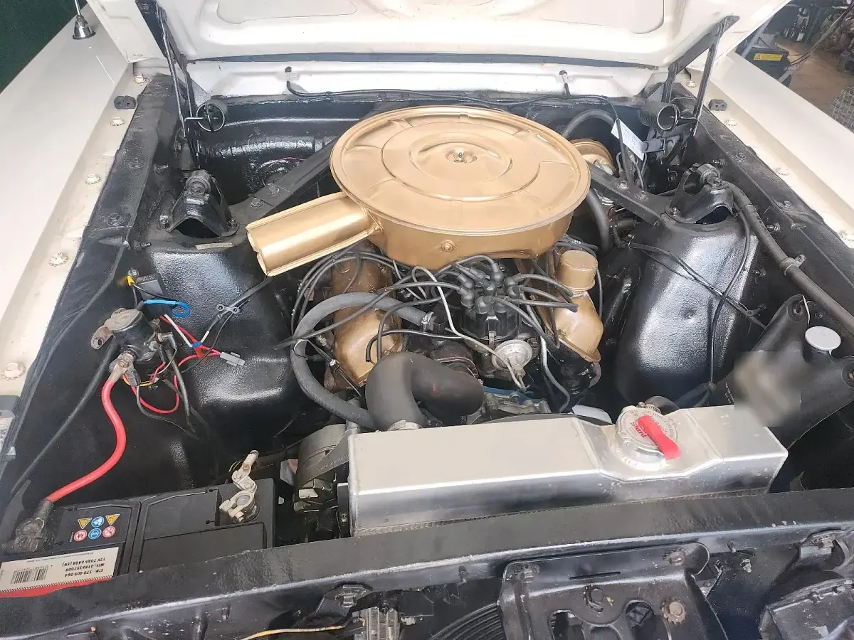 Gebraucht Ford V8 208 PS (152 kW) 1965 Weiß