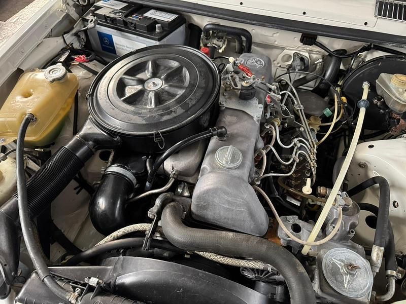 Weiß Gebraucht 1981 Mercedes 300 Kombi | 38.999 € - Bild 1/1