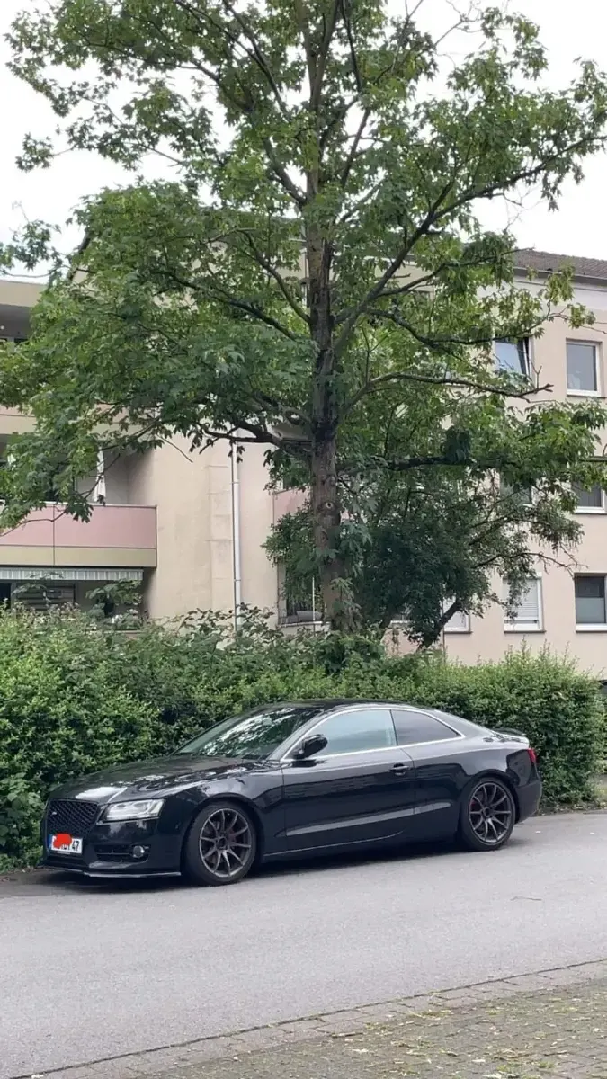 Gebraucht Audi A5 163 PS (119 kW) 2011 Schwarz Coupé
