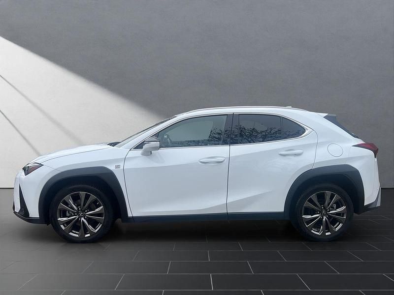 Gebraucht Lexus UX 250h F Sport 184 PS (135 kW) 2024 Weiß SUV