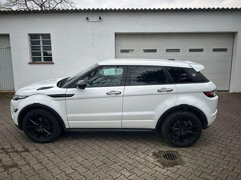 Gebraucht Land Rover Range Rover evoque Dynamic 150 PS (110 kW) 2014 Weiß SUV