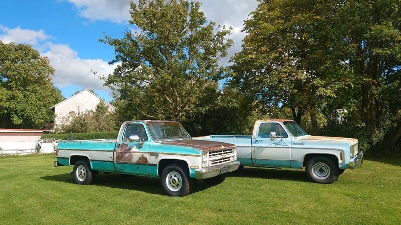 Gebraucht Chevrolet C20 170 PS (125 kW) 1973 Pickup