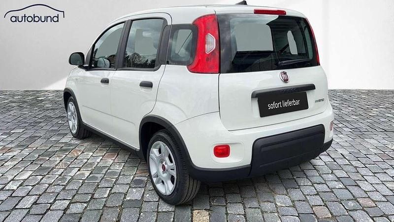 Gebraucht Fiat Panda 69 PS (50 kW) 2024 Weiss / gelatoweiss Kleinwagen