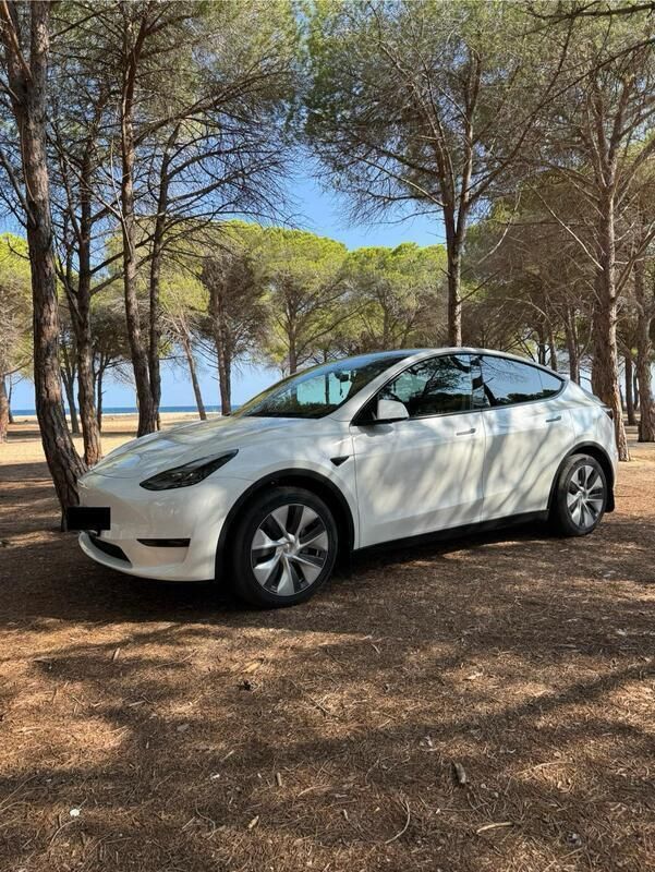 Weiß Gebraucht 2024 Tesla Model Y SUV | 38.000 € (Guter Preis) - Bild 1/1