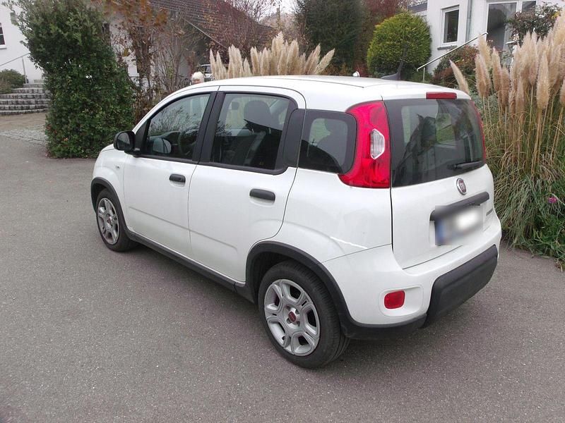Gebraucht Fiat Panda 69 PS (50 kW) 2024 Weiß Kleinwagen