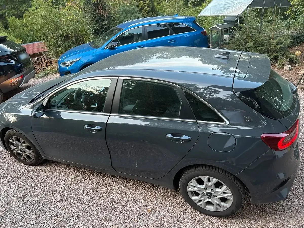 Gebraucht Kia Ceed 140 PS (102 kW) 2026 Grau Kleinwagen