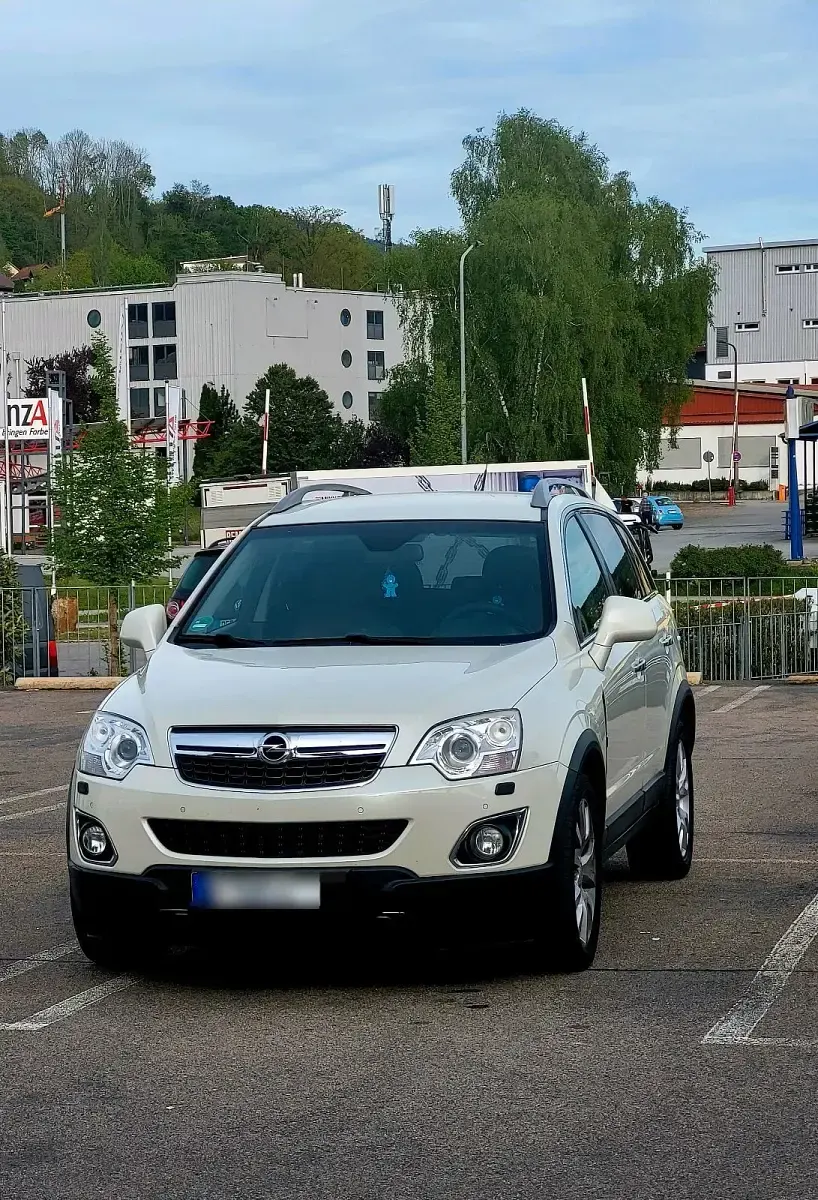 Usata Opel Antara 184 CV (135 kW) 2012 Bianco SUV