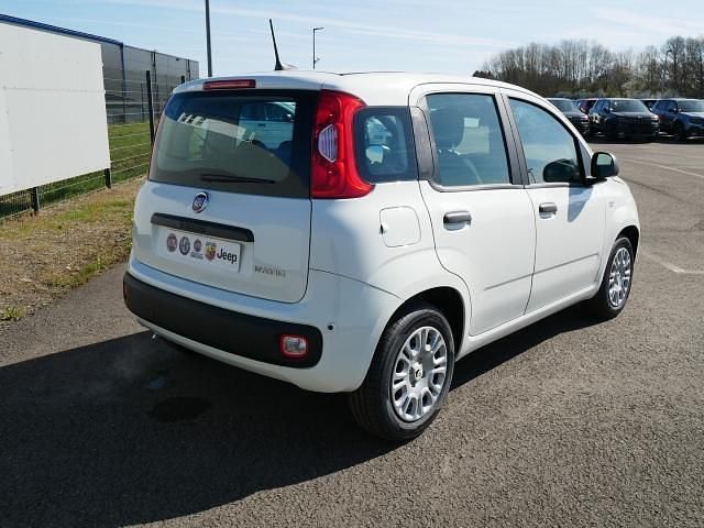 Neu Fiat Grande Panda 69 PS (50 kW) 2025 Weiss Kleinwagen