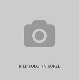 Grau Neu 2025 Cupra Leon VZ Limousine | 41.990 € (Superpreis) - Bild 1/1