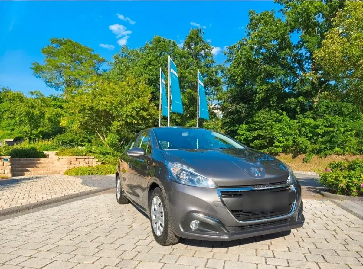 Gebraucht Peugeot 208 Active 83 PS (61 kW) 2019 Grau Kleinwagen