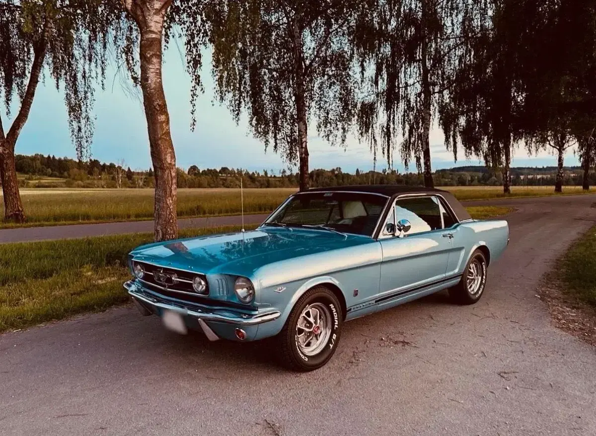 Gebraucht Ford Mustang GT 235 PS (172 kW) 1965 Blau Coupé